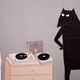 Illustration for article titled Tidy Cat Meets Messy Rat in This Adorable Odd-Couple Animation